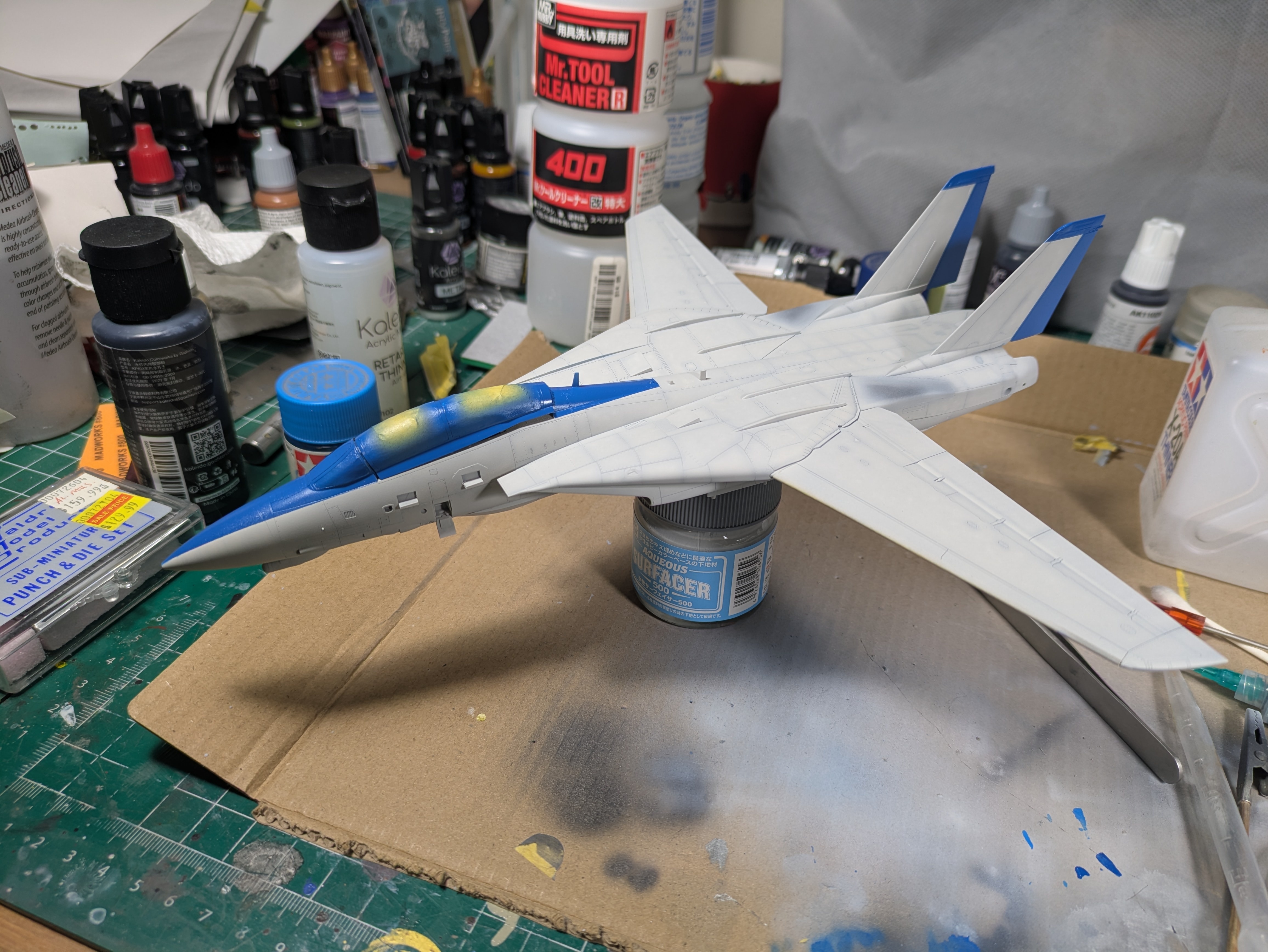 Blue scheme from starboard with masks still in place on stabiliser tips