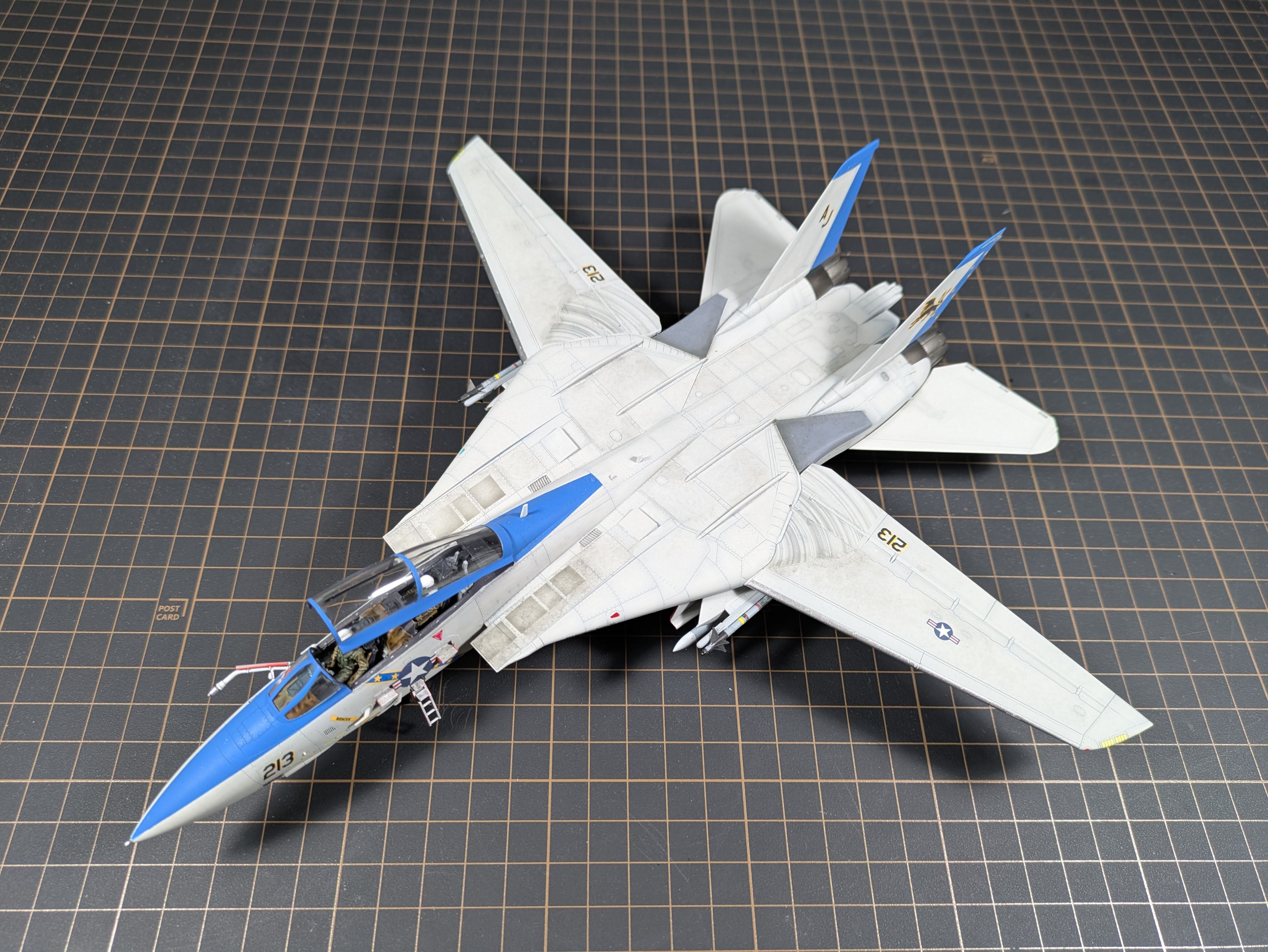 F-14D three-quarter view from above on cutting mat