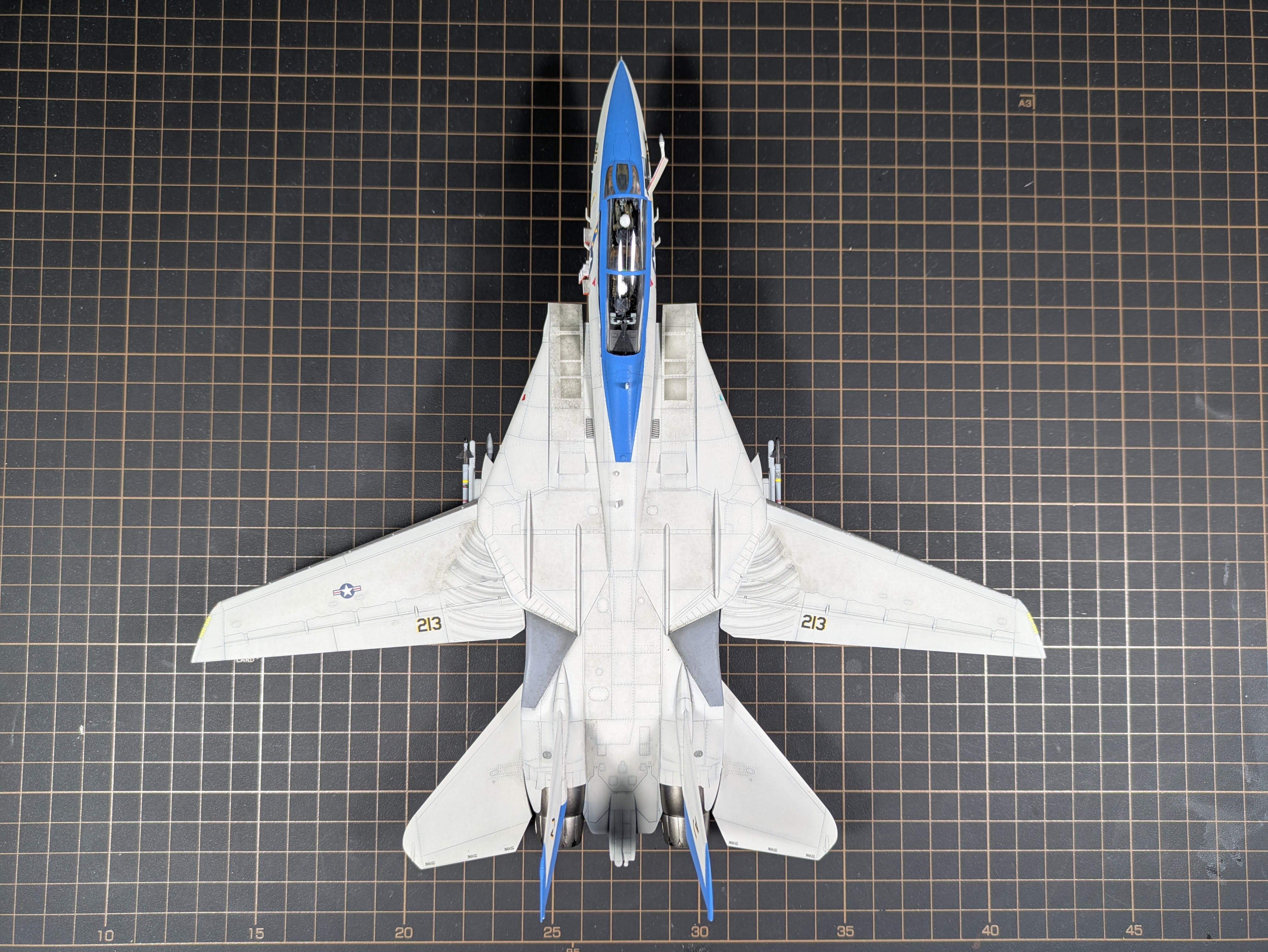 Straight overhead &mdash; full wingspan, gear down
