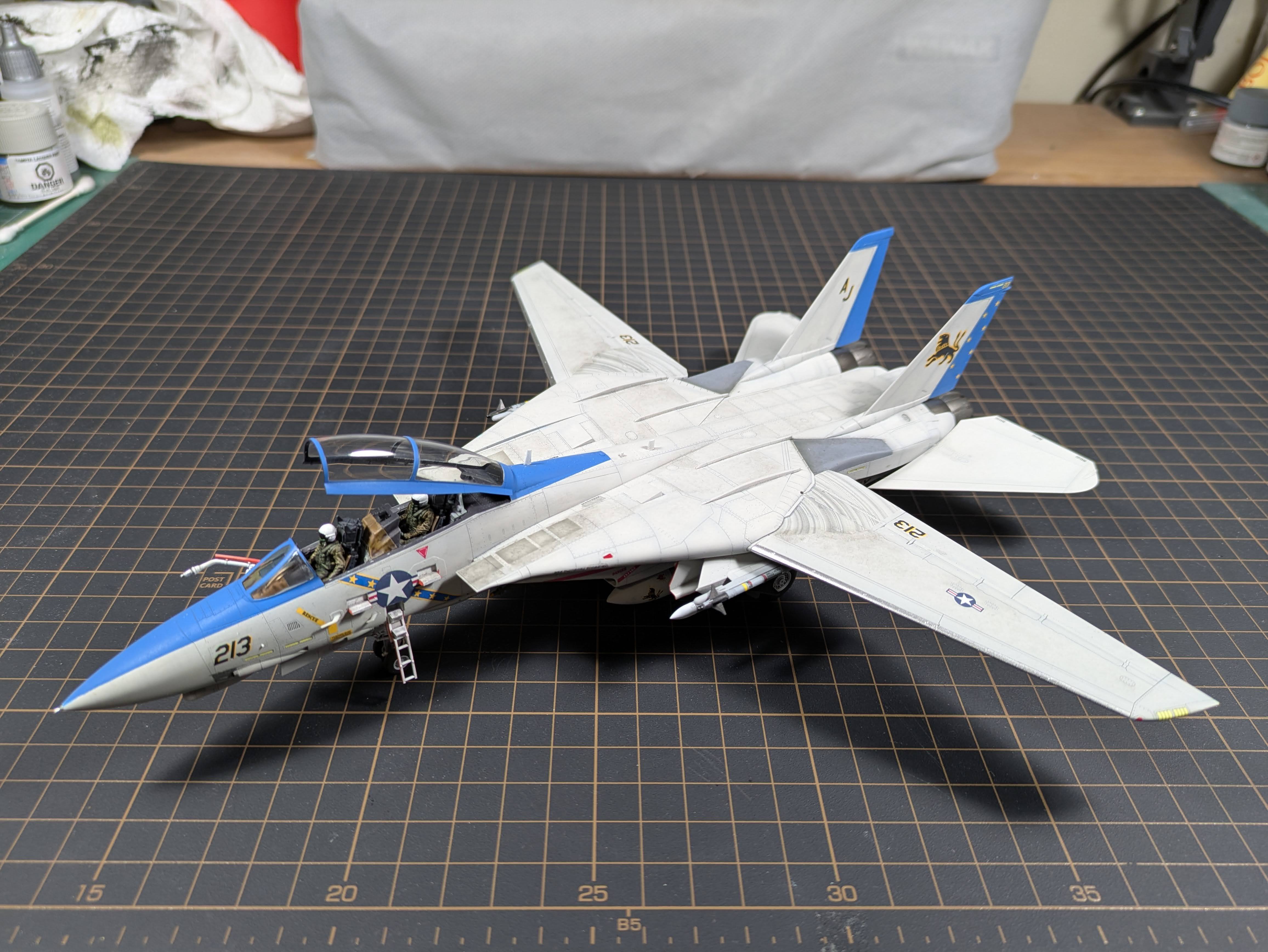 F-14D low side profile &mdash; the definitive glamour shot