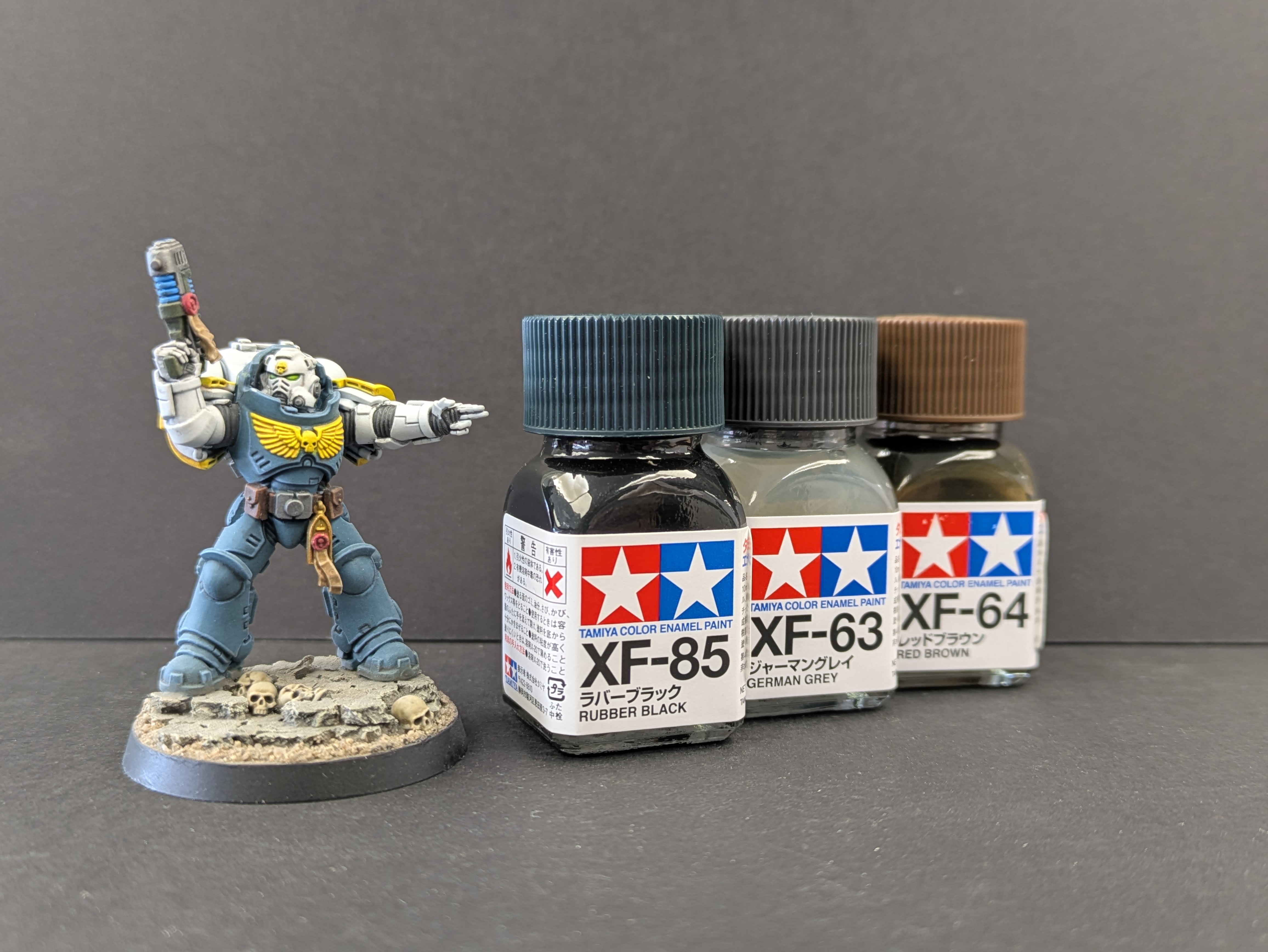 Necropolis Hawk pointing at the Tamiya enamel washes used