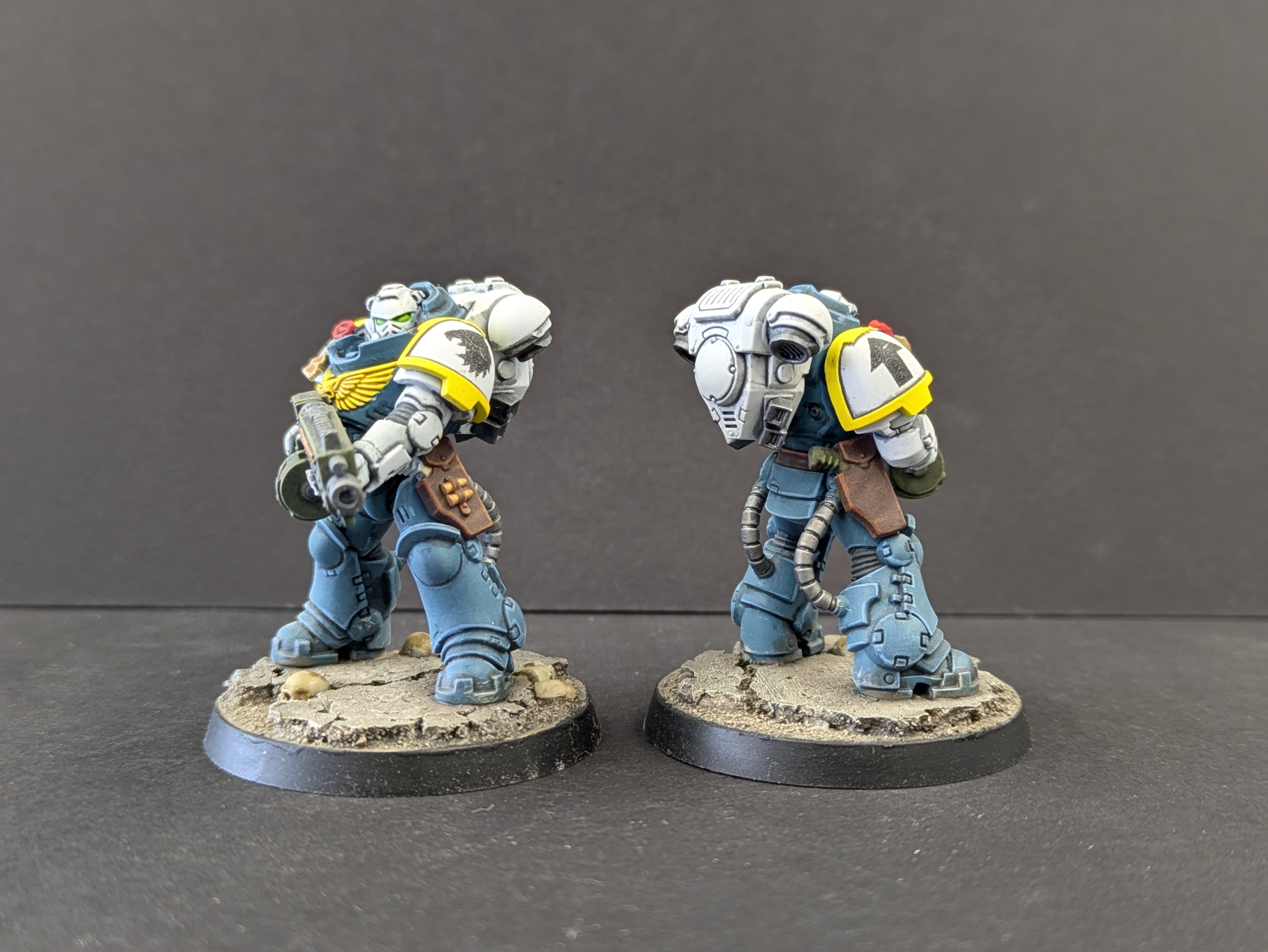 Necropolis Hawk - front and back view