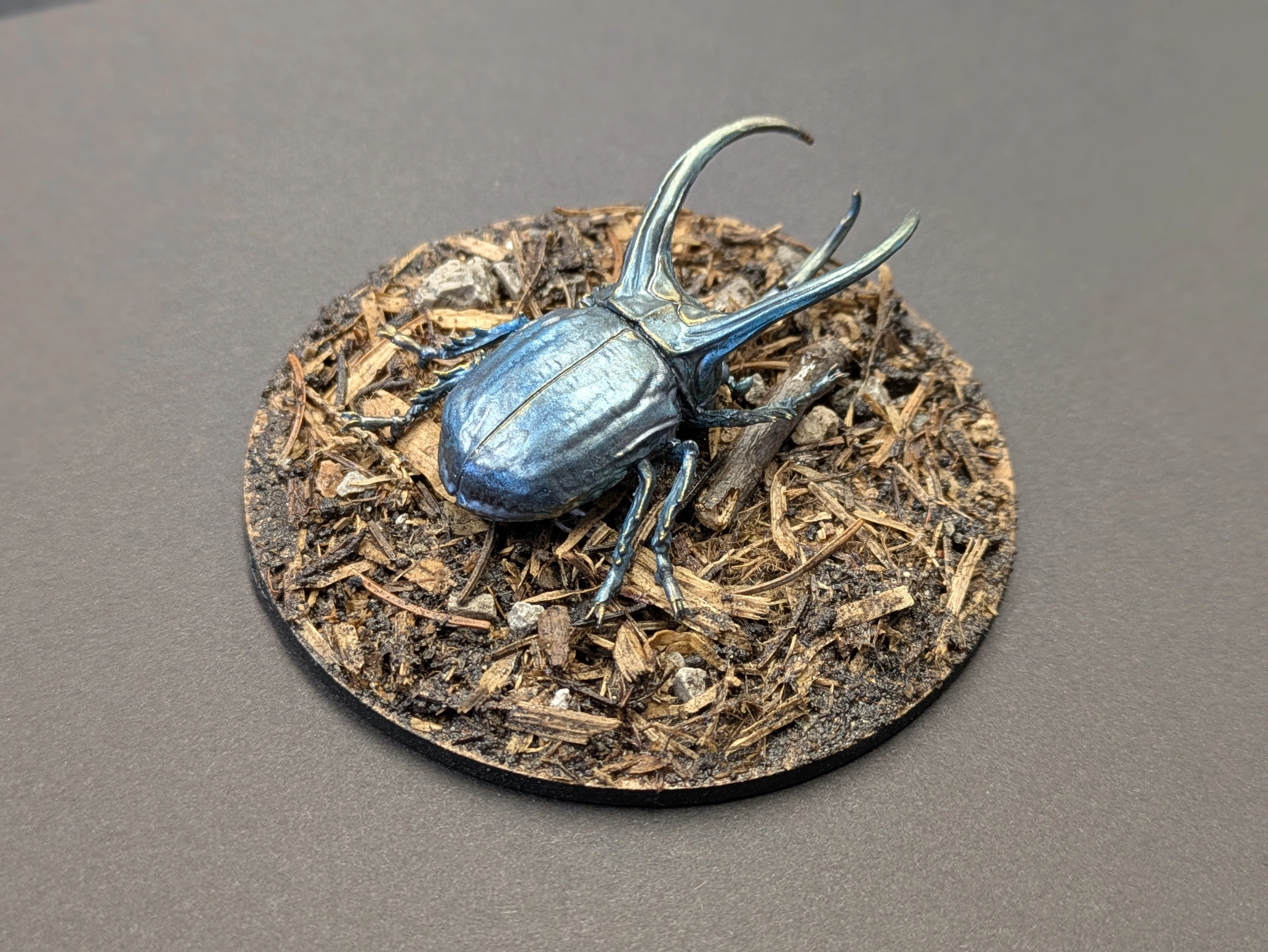 Rhinoceros Beetle - pose 2