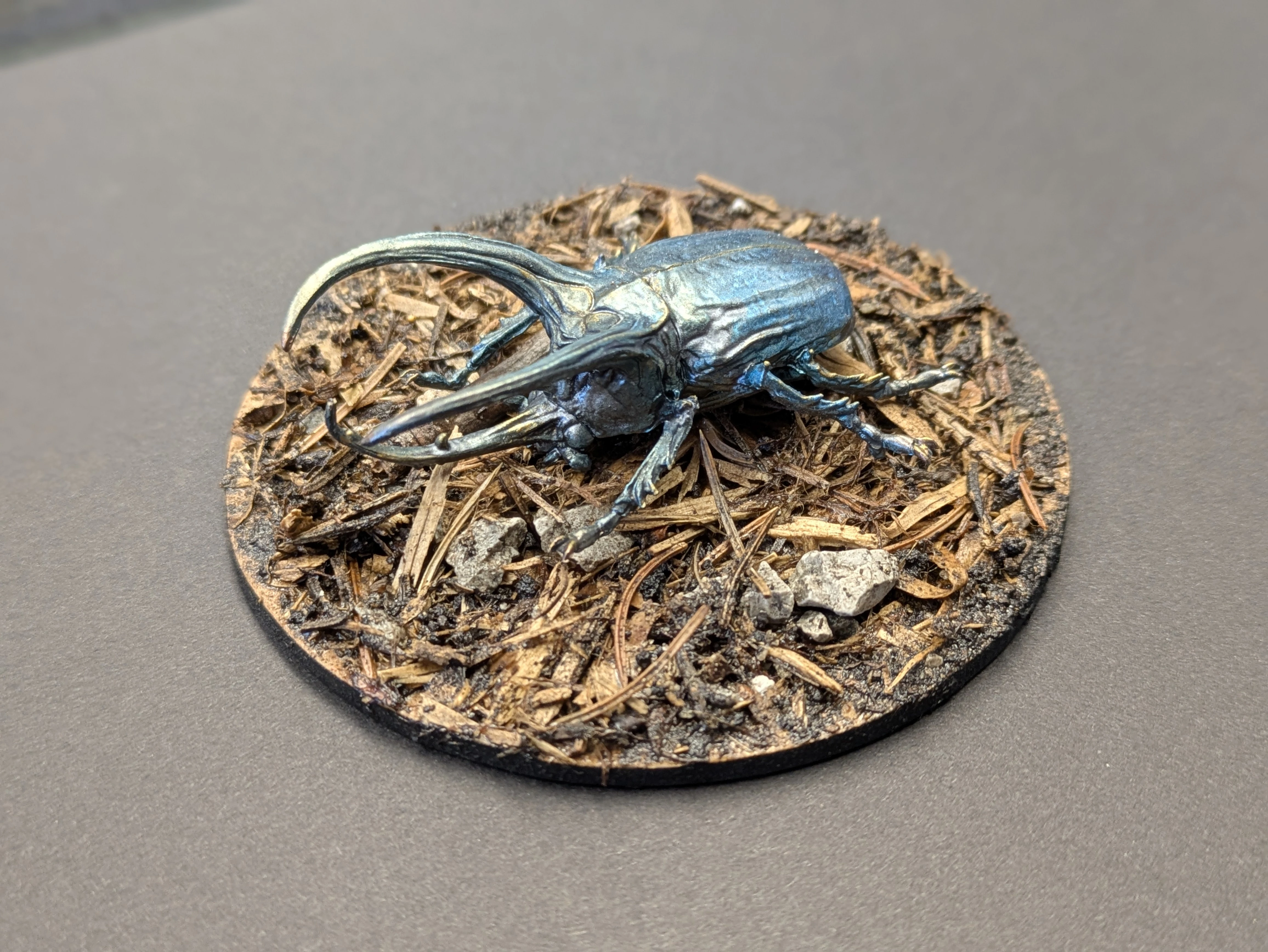 Rhinoceros Beetle - pose 3