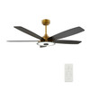 Journey 56" Gold Outdoor Smart Ceiling Fan, LED Light Kit (VS565H-L13-G2-1)