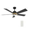 Ascender 52" Black Outdoor Smart Ceiling Fan, Light Kit (VS525J1-L11-B2-1G)