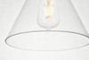 Elegant Furniture and Lighting Destry 1 Light Brass Plug-In Pendant With Clear Glass (LDPG2244BR)