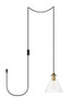 Elegant Furniture and Lighting Destry 1 Light Brass Plug-In Pendant With Clear Glass (LDPG2244BR)