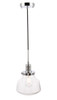 Elegant Furniture and Lighting Lyle 1 Light Chrome And Clear Seeded Glass Pendant (LD6253C)