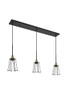 Auspice 3 Light Brass And Black Pendant (LD4047D38BRB)