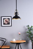 Eamon 1 Light Matte Black Pendant (LD5001D13BRB)