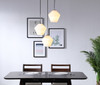 Gene 3 Light Chrome And Frosted White Glass Pendant (LD2259C)