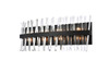 Serephina 30 Inch Crystal Bath Sconce In Black (6200W30BK)