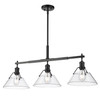 Orwell 3-Light Linear Pendant in Matte Black with Clear Glass (3306-LP BLK-CLR)