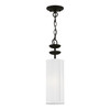 Brookdale 1 Light Black Mini Pendant (42981-04)