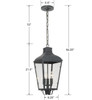 Dumont Outdoor 3 Light Graphite Chandelier (DUM-9805-GE)