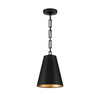 Brian Patrick Flynn 2 Light Black & Antique Gold Chandelier (8685-MK-GA)