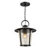 Andover Outdoor 1 Light Black Chandelier (AND-9203-SD-MK)