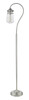 Celeste  1 Light Floor Lamp in Brushed Nickel (FL120-BN)
