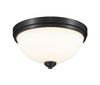 Ashton 2 Light Flush Mount in Matte Black (443F2-MB)