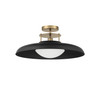 Gavin 1-Light Ceiling Light in Matte Black with Warm Brass (6-1685-1-143)