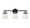 Kaden 3-Light Bathroom Vanity Light in Matte Black (8-1627-3-BK)