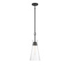 Lakewood 1-Light Pendant in Matte Black (7-1831-1-89)
