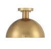 1-Light Ceiling Light in Natural Brass (M60071NB)