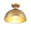 1-Light Ceiling Light in Natural Brass (M60071NB)