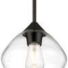 Vintage Matte Black LED Pendant (28103LEDDLP-MBL/CLR)