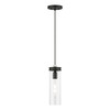 Devoe 1 Light Mini Pendant In Black With Brushed Nickel Accent (41236-04)