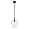 Avery 1 Light Pendant In Black With Brushed Nickel Accent (41237-04)