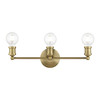 Lansdale 3 Light Vanity In Antique Brass (14423-01)