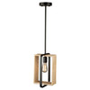 Artcraft Lighting Perris 1 Light Pendant Black (AC11711BK)