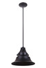 Union 1 Light Medium Outdoor Pendant in Midnight (Z4411-MN)