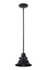 Union 1 Light Large Outdoor Pendant in Midnight (Z4421-MN)