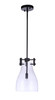 Chardonnay 1 Light Mini Pendant in Flat Black (55891-FB)