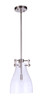 Chardonnay 1 Light Mini Pendant in Brushed Polished Nickel (55891-BNK)