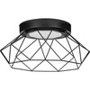 Geodesic LED Matte Black Modern Flush Mount Light (P350229-31M-30)