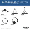 Breckenridge Collection One-Light Matte Black Rustic Farmhouse Pendant (P500412-31M)