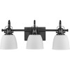 Preston Collection Three-Light Coastal Matte Black Bath and Vanity Light (P300428-31M)