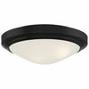 Oceanus Matte Black Outdoor LED Flush Mount (20356LEDDMGLP-MBL/FST)