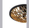 Ventura 3-Light Ceiling Light in Matte Black and Gold (6-9353-3-46)