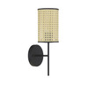 1-Light Wall Sconce in Matte Black (M90080MBK)