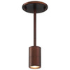 Cafe Dual Mount Bronze 1 Light LED Wall Or Ceiling Spotlight (72010LEDDLP-BRZ)
