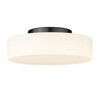 Toli BLK Flush Mount in Matte Black with Opal Glass Shade (3136-FM BLK-OP)