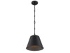 Alden 1-Light Pendant in Matte Black (7-232-1-89)