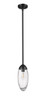 Arden 1 Light Pendant in Matte Black (651P-ROD-MB)