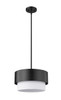 Counterpoint 1 Light Pendant in Matte Black (495P12-MB)