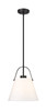 Z-Studio 1 Light Pendant in Matte Black (743P12-MB)